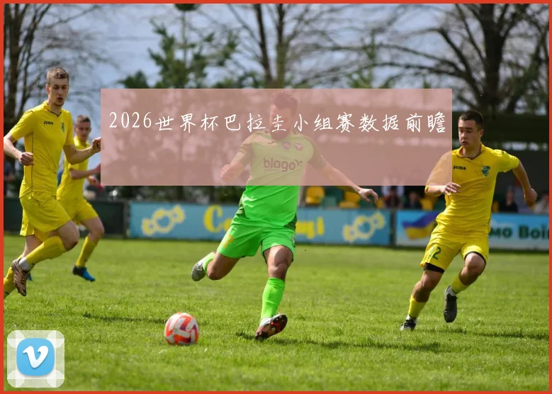 2026世界杯巴拉圭小组赛数据前瞻