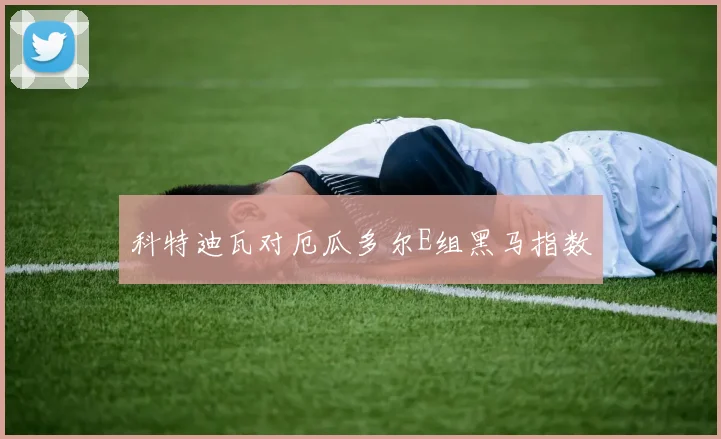 科特迪瓦对厄瓜多尔E组黑马指数