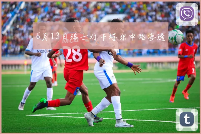 6月13日瑞士对卡塔尔中路渗透