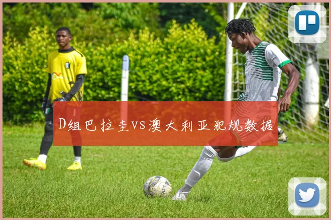 D组巴拉圭vs澳大利亚犯规数据