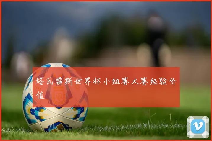 塔瓦雷斯世界杯小组赛大赛经验价值