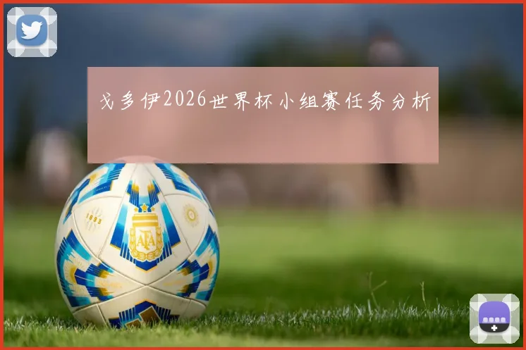 戈多伊2026世界杯小组赛任务分析