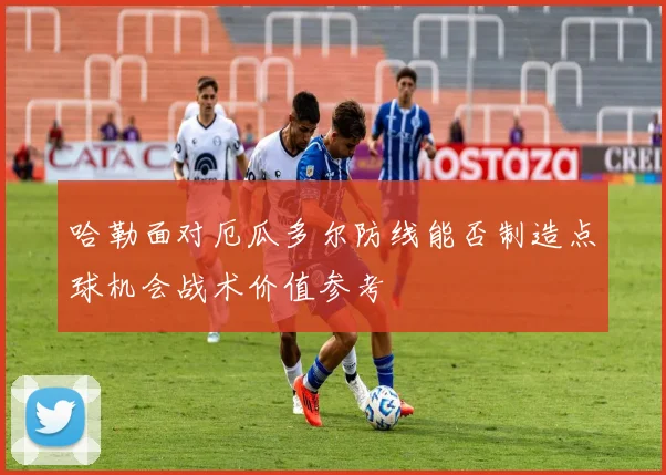 哈勒面对厄瓜多尔防线能否制造点球机会战术价值参考