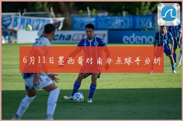 6月11日墨西哥对南非点球手分析